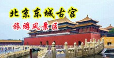 被强奸了感觉好爽视频中国北京-东城古宫旅游风景区